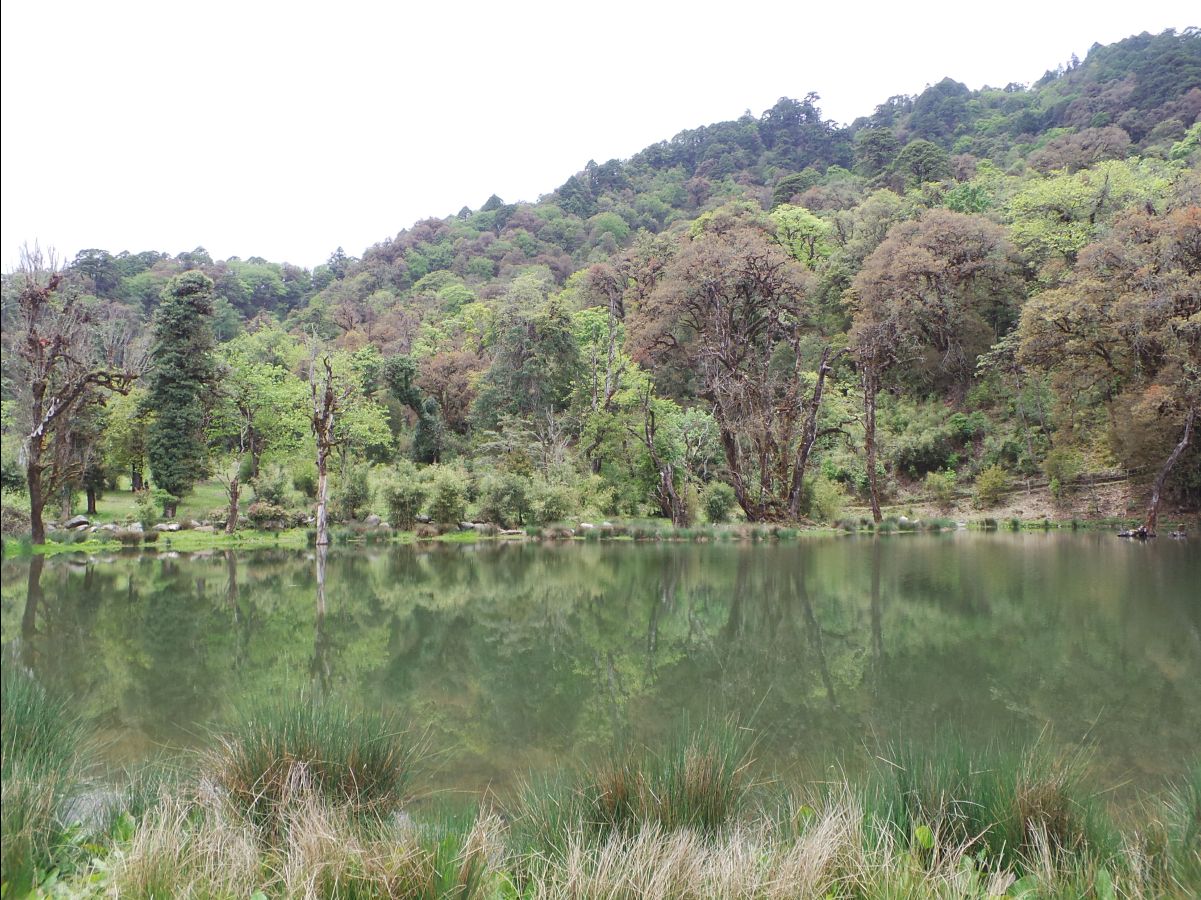The Royal Botanical Park22